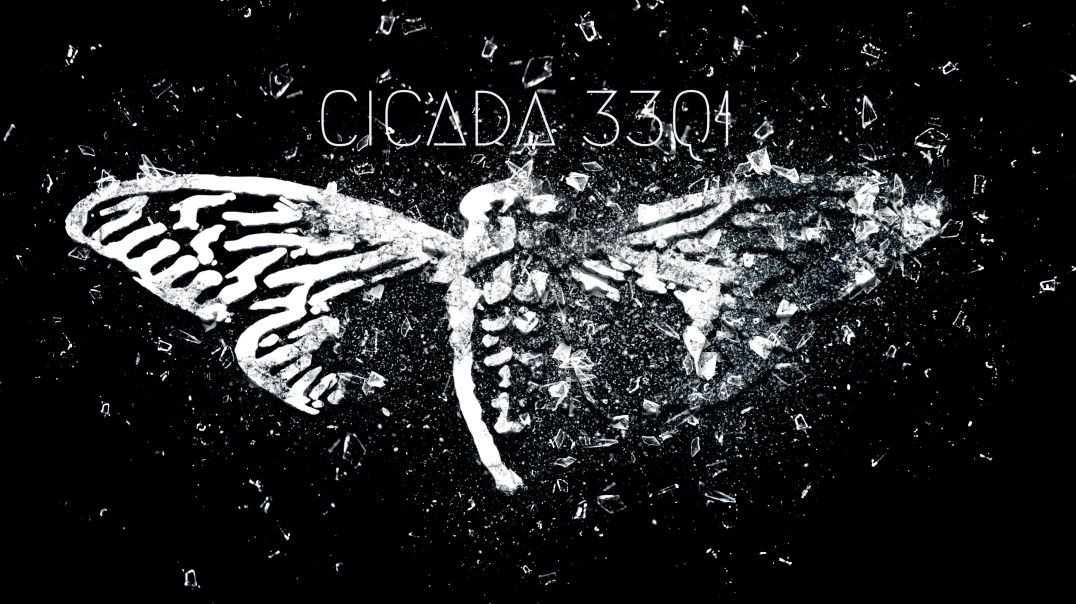 ⁣Unveiling Cicada 3301: An Interview with Director Cullen Hoback on Accelerationism